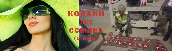 прущие крисы Баксан