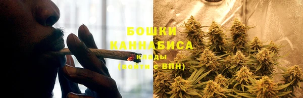 прущие крисы Баксан