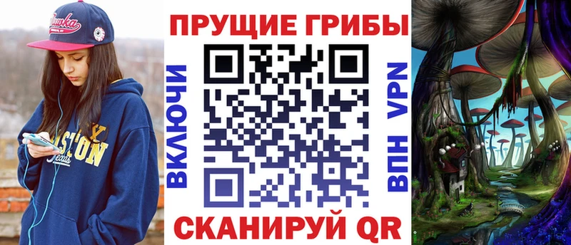 Галлюциногенные грибы Psilocybe  Облучье 
