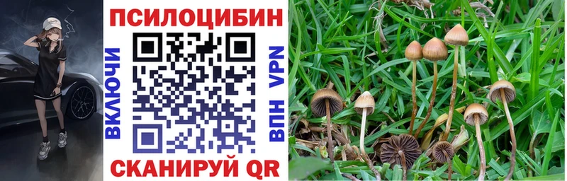 Псилоцибиновые грибы ЛСД Облучье